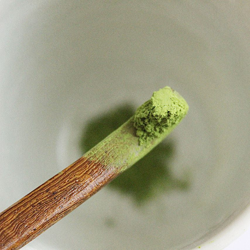 Matcha green tea powder on a wooden spoon over a white bowl