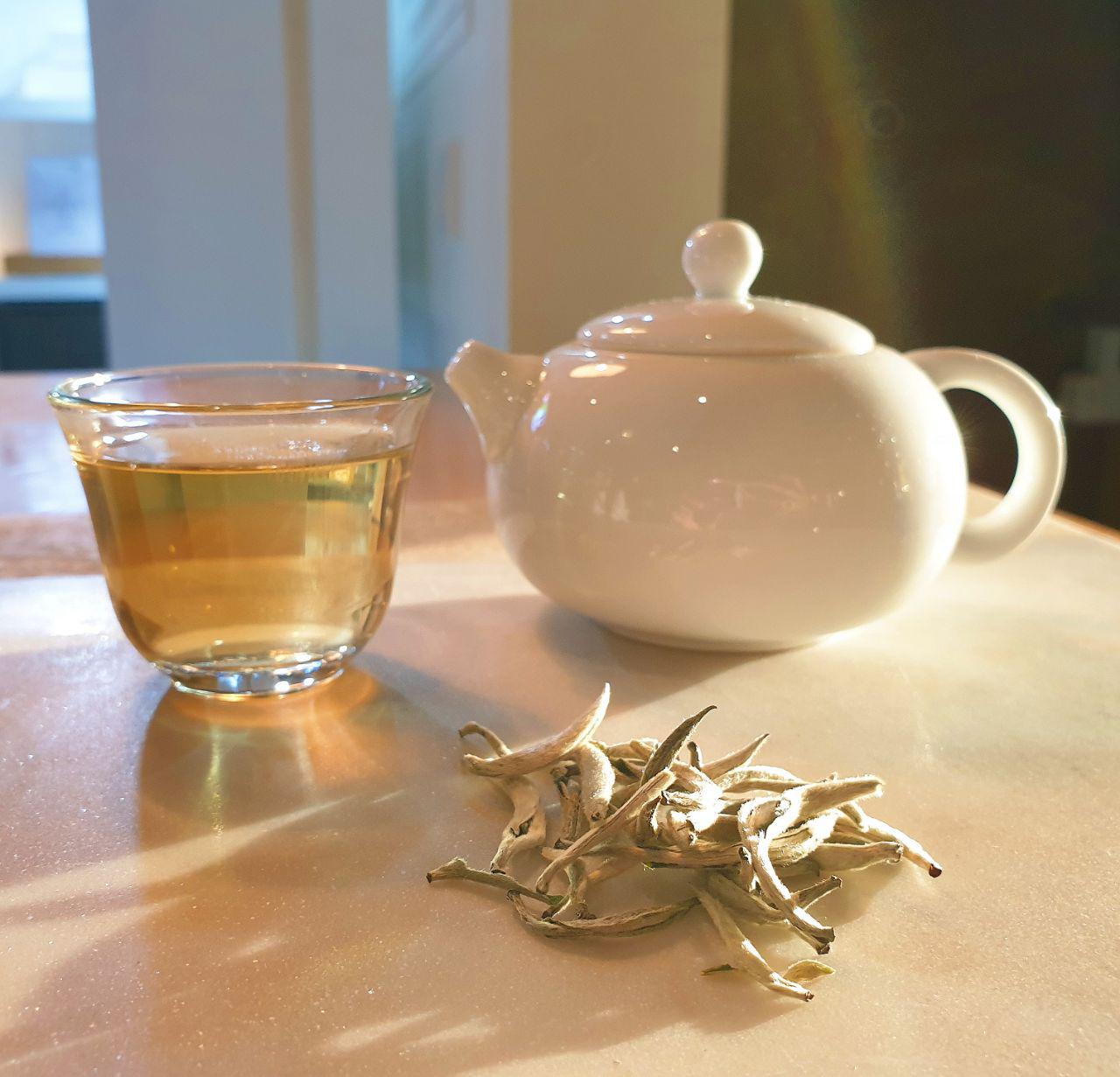 White Tea - Baihao Yinzhen (Silver Needles)