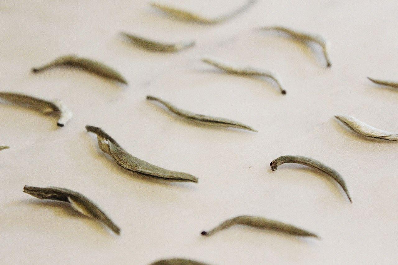 White Tea - Baihao Yinzhen (Silver Needles)
