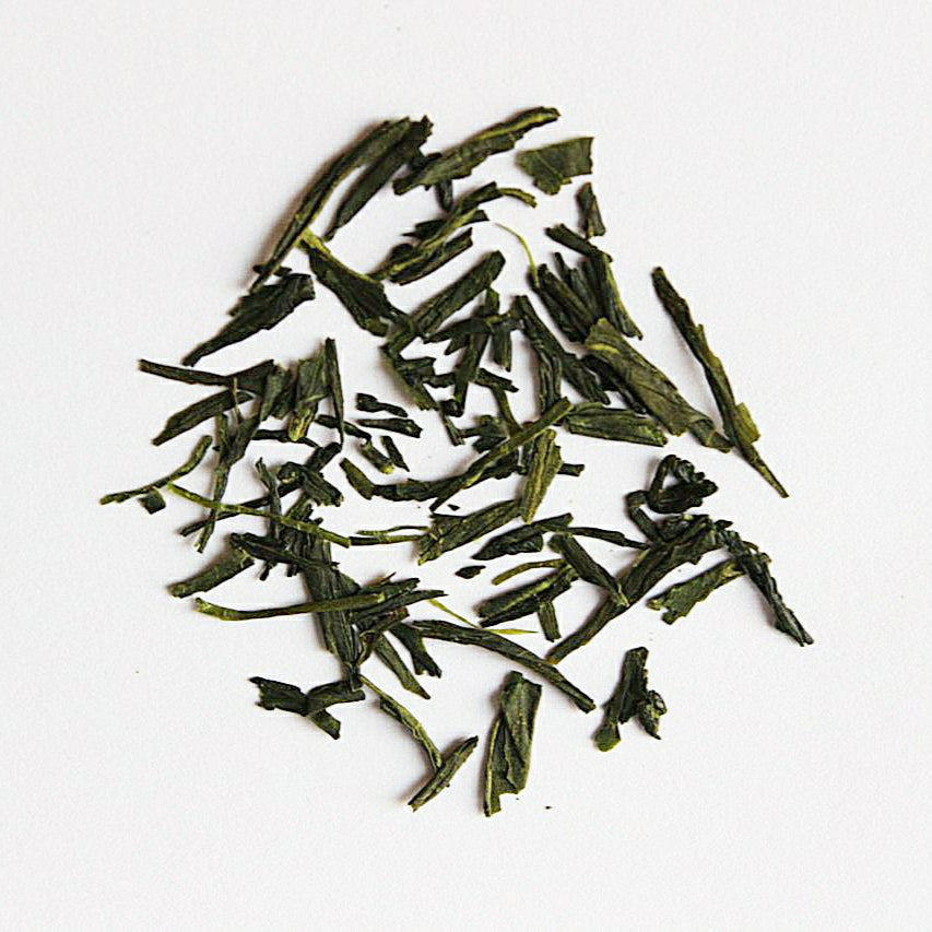Dry sencha tea leaves on a white background