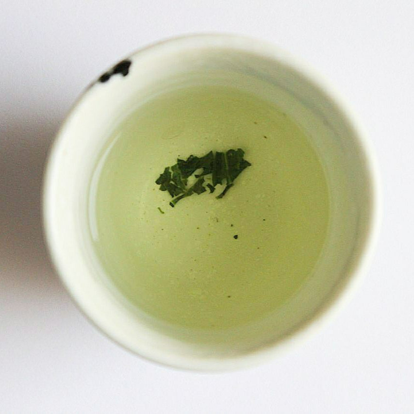 Finished gyokuro in a tea cup