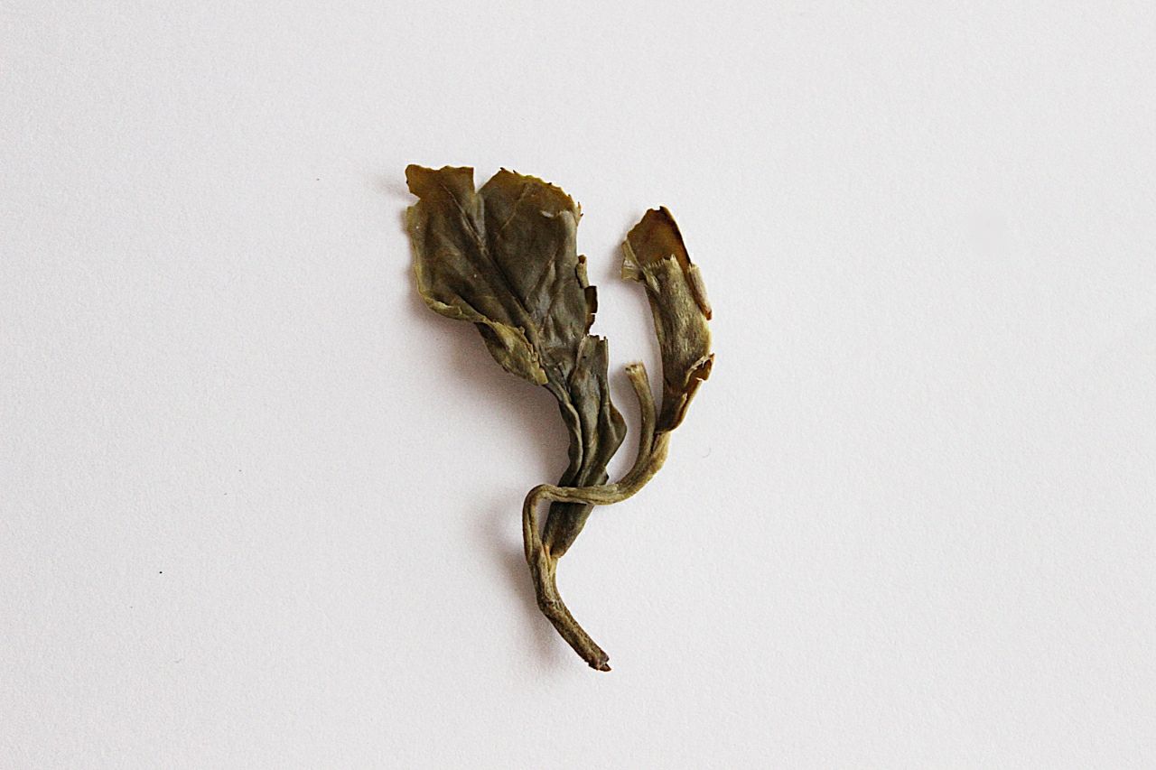 Green Tea - Jasmine Pearls